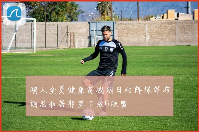 湖人全员健康备战明日对阵绿军布朗尼和蒂耶罗下放G联盟